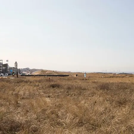 Apartment Kustappartementenkatwijk Katwijk aan Zee